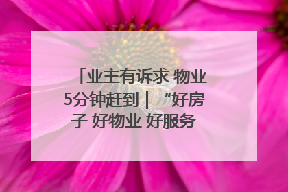 业主有诉求 物业5分钟赶到｜“好房子 好物业 好服务”系列报道④