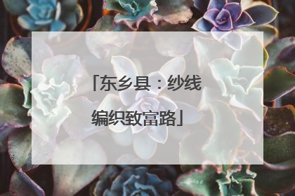 东乡县：纱线编织致富路