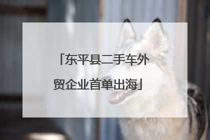 东平县二手车外贸企业首单出海