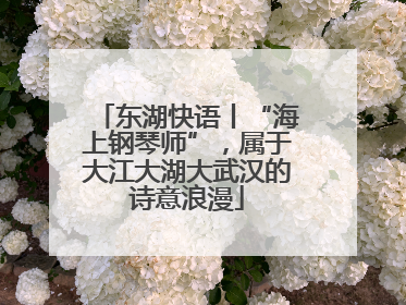 东湖快语丨“海上钢琴师”，属于大江大湖大武汉的诗意浪漫