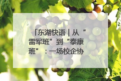 东湖快语｜从“雷军班”到“泰康班”：一场校企协同的“接力赛”