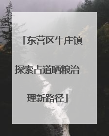 东营区牛庄镇探索占道晒粮治理新路径