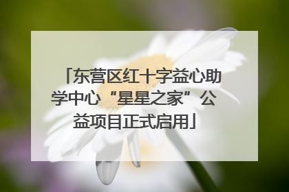 东营区红十字益心助学中心“星星之家”公益项目正式启用
