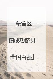 东营区一镇成功跻身全国百强
