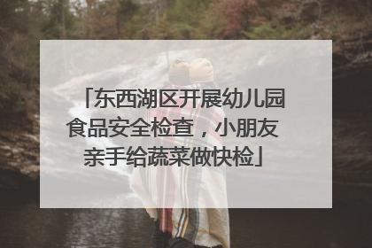 东西湖区开展幼儿园食品安全检查，小朋友亲手给蔬菜做快检