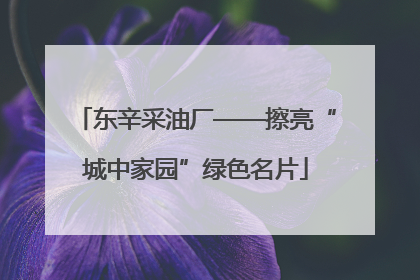 东辛采油厂——擦亮“城中家园”绿色名片