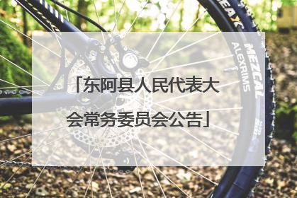 东阿县人民代表大会常务委员会公告