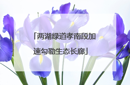 两湖绿道孝南段加速勾勒生态长廊