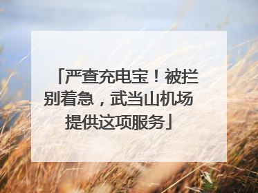 严查充电宝！被拦别着急，武当山机场提供这项服务