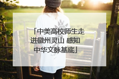 中美高校师生走进徽州灵山 感知中华文脉基底