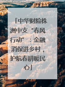 中华财险株洲中支“春风行动”：金融消保进乡村，护航春耕暖民心