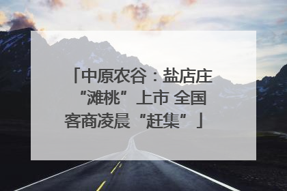 中原农谷：盐店庄“滩桃”上市 全国客商凌晨“赶集”
