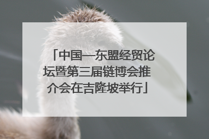 中国—东盟经贸论坛暨第三届链博会推介会在吉隆坡举行