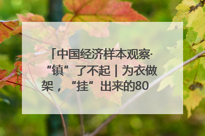 中国经济样本观察·“镇”了不起｜为衣做架，“挂”出来的80亿元“衣架产业”