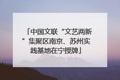 中国文联“文艺两新”集聚区南京、苏州实践基地在宁授牌