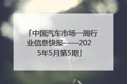 中国汽车市场一周行业信息快报——2025年5月第5期