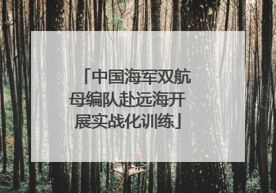中国海军双航母编队赴远海开展实战化训练