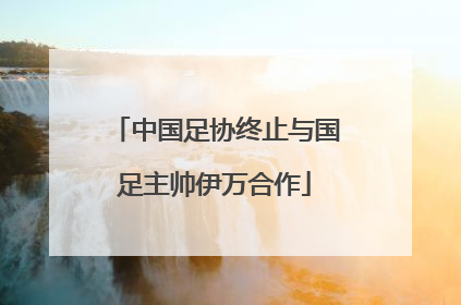 中国足协终止与国足主帅伊万合作