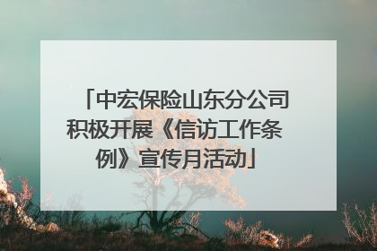 中宏保险山东分公司积极开展《信访工作条例》宣传月活动