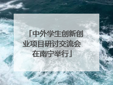 中外学生创新创业项目研讨交流会在南宁举行