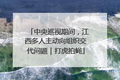 中央巡视期间，江西多人主动向组织交代问题｜打虎拍蝇