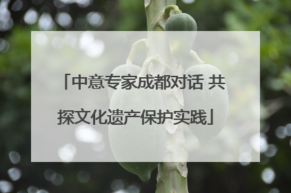 中意专家成都对话 共探文化遗产保护实践