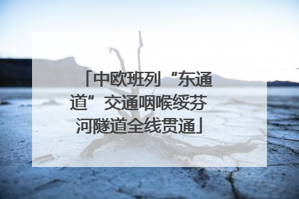 中欧班列“东通道”交通咽喉绥芬河隧道全线贯通