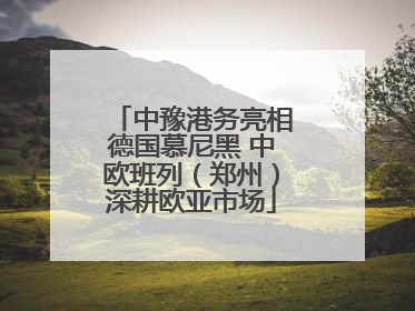 中豫港务亮相德国慕尼黑 中欧班列（郑州）深耕欧亚市场