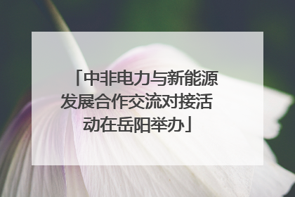 中非电力与新能源发展合作交流对接活动在岳阳举办
