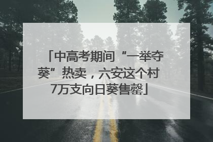 中高考期间“一举夺葵”热卖，六安这个村7万支向日葵售罄