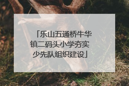 乐山五通桥牛华镇二码头小学夯实少先队组织建设