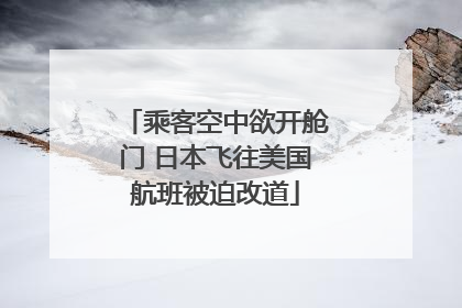 乘客空中欲开舱门 日本飞往美国航班被迫改道