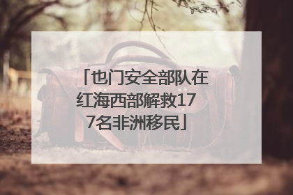 也门安全部队在红海西部解救177名非洲移民
