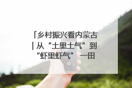 乡村振兴看内蒙古｜从“土里土气”到“虾里虾气” 一田双收模式火出圈