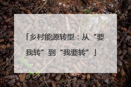乡村能源转型：从“要我转”到“我要转”