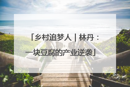 乡村追梦人｜林丹：一块豆腐的产业逆袭