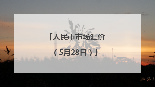 人民币市场汇价（5月28日）