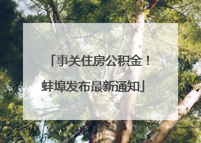 事关住房公积金！蚌埠发布最新通知