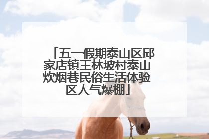 五一假期泰山区邱家店镇王林坡村泰山炊烟巷民俗生活体验区人气爆棚