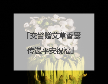 交警赠艾草香囊 传递平安祝福