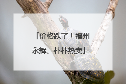 价格跌了！福州永辉、朴朴热卖