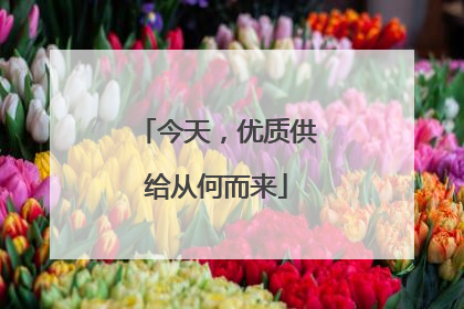 今天，优质供给从何而来