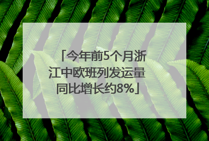 今年前5个月浙江中欧班列发运量同比增长约8%