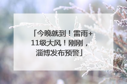 今晚就到！雷雨+11级大风！刚刚，淄博发布预警