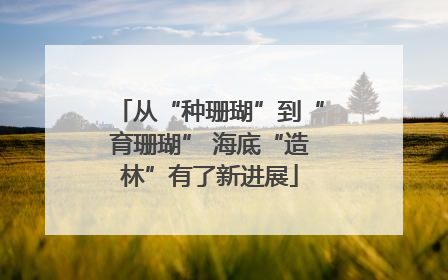 从“种珊瑚”到“育珊瑚” 海底“造林”有了新进展