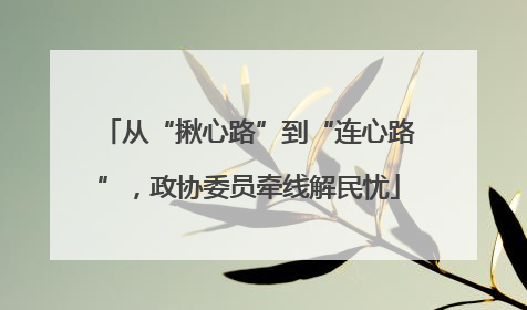 从“揪心路”到“连心路”，政协委员牵线解民忧