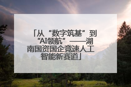 从“数字筑基”到“AI领航”——湖南国资国企竞速人工智能新赛道