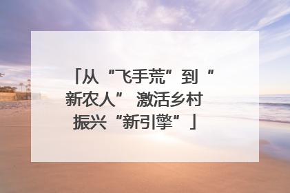 从“飞手荒”到“新农人” 激活乡村振兴“新引擎”