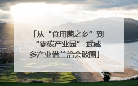 从“食用菌之乡”到“零碳产业园” 武威多产业借兰洽会破圈