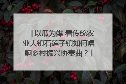 以瓜为媒 看传统农业大镇石莲子镇如何唱响乡村振兴协奏曲？